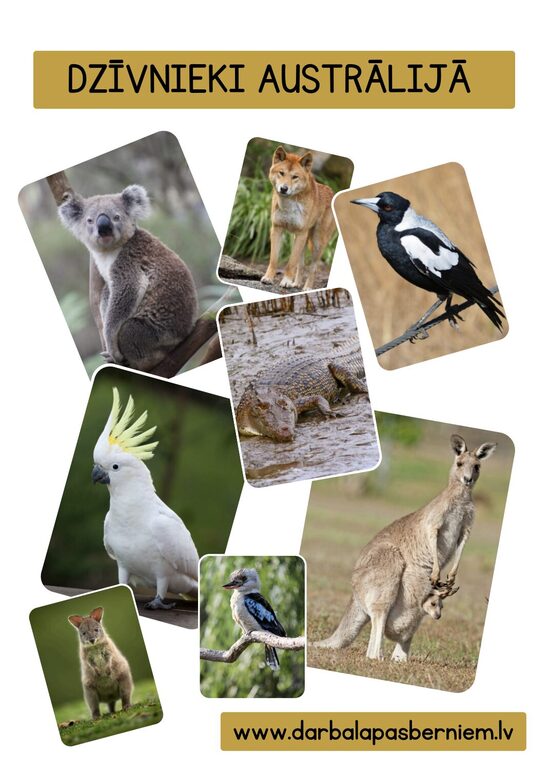 20 PRINTĒJAMAS KARTĪTES - DZĪVNIEKI AUSTRĀLIJĀ
